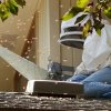 Removing Bees from a House